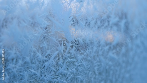 A serene winter landscape with frost-covered grass and trees in a peaceful natural setting