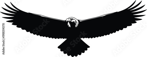 Eagle silhouette illustration, frontal flying bird artwork, freedom strength design concept, black and white wildlife vector template set for emblems