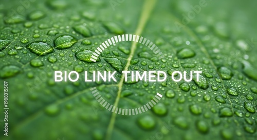 Close-up of a green leaf with water droplets and a digital timer overlay indicating 'bio link timed out'