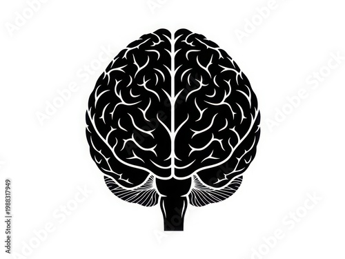 Intricate black and white illustration of a human brain with detailed neural pathways