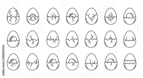 Collection of cracked eggs in various stages of hatching.