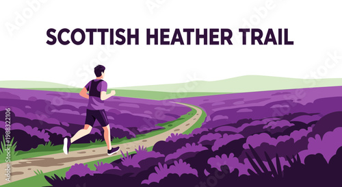 Runner Exploring The Beautiful Purple Heather Fields On The Scottish Trail Route