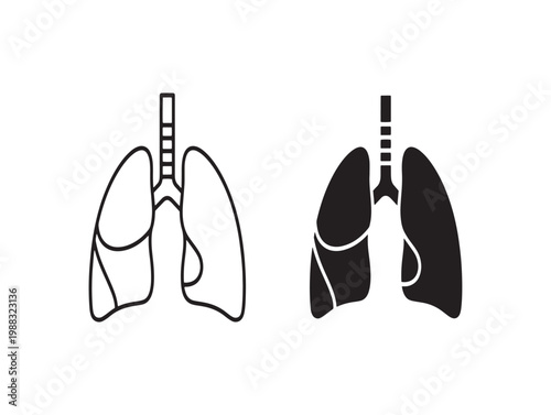 Human lungs anatomy illustration a simplified black and white depiction of the respiratory system