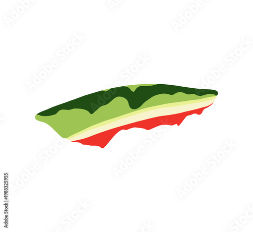 A slice of eaten watermelon. A core. A watermelon rind. Vector illustration on a white background.