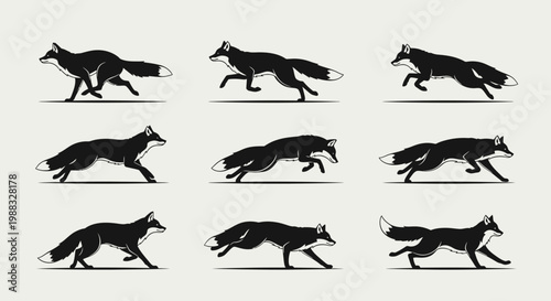 Running Foxes Silhouetted in Motion on a Seamless White Background