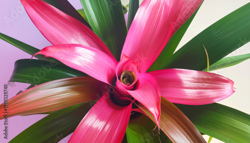 red and green flowers