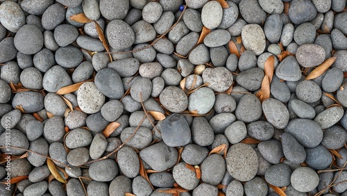 Photography Smooth grey river stones with scattered dry leaves on ground, top view