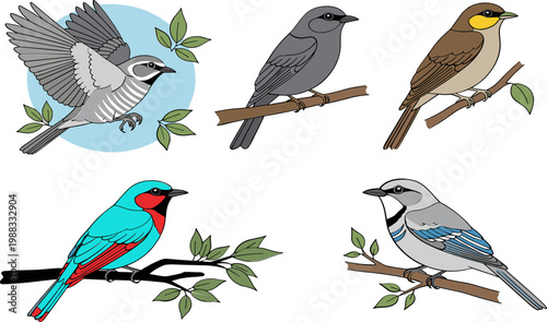 Bird Icon Set Featuring Colorful Songbirds Perched on Branches for Nature, Wildlife, and Avian Designs
