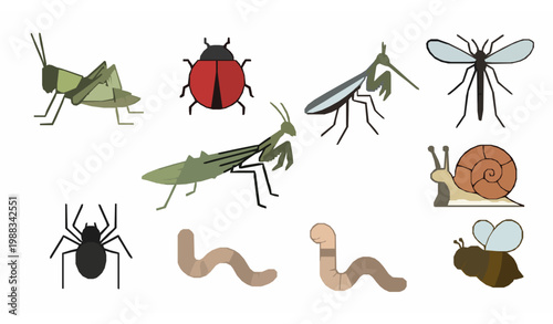 Minimal insect icons vector grasshopper ladybug bee snail spider simple set