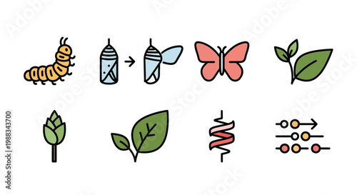 Illustration depicting metamorphosis: caterpillar, chrysalis, butterfly, and nature elements