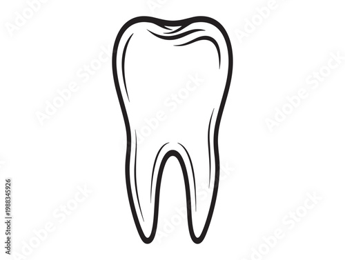 Simple black and white sketch of a human tooth for dental illustration or education