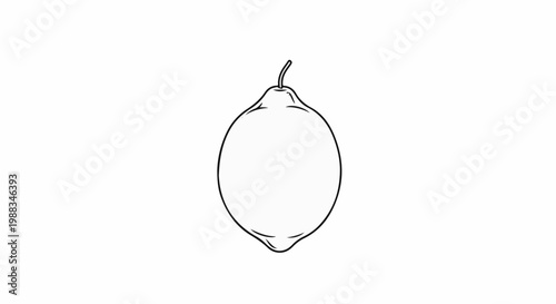 Minimalist line drawing of a single ripe lemon on a white background