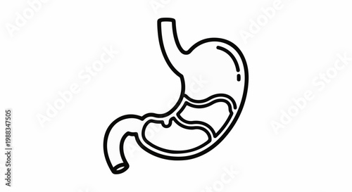 Simple black and white line drawing of a human stomach and upper intestines