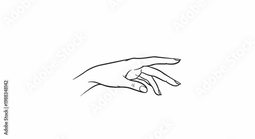 Elegant hand with fingers gracefully extended and curled