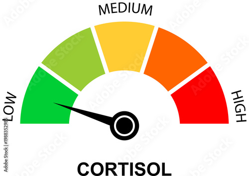 Fotografie cortisol level meter low to high stress indicator