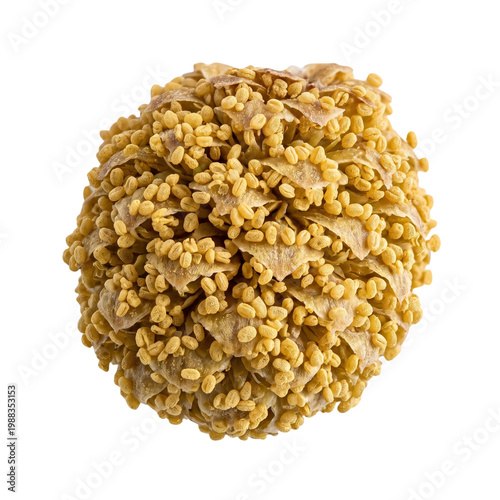 Spherical cluster of yellow pollen grains