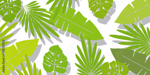 Leaves background with summer fun design concept, abstract illustration with exotic jungle leaves, colorful design, summer background, tropical leaves.Tropical leaf background, palm leaves, monstera