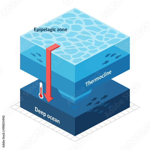 Ocean Zones Diagram - Epipelagic, Thermocline, and Deep Ocean Layers.