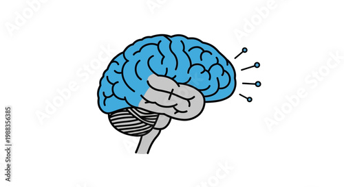 Conceptual illustration of the human brain with highlighted sections and neural connections shown
