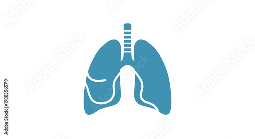 Simplified illustration of human lungs in blue color for medical and health concepts