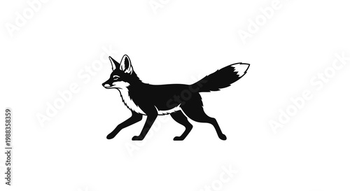 Black fox walking silhouette on white background, isolated, elegant motion
