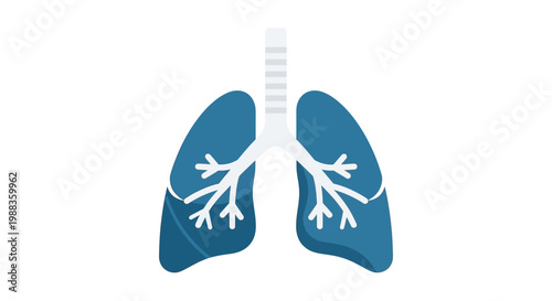 Anatomical illustration of human lungs in minimalist style for medical or healthcare concepts