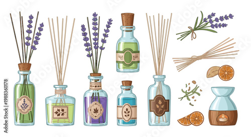A comprehensive collection of aromatic home fragrance products including glass reed diffusers with vibrant lavender sprigs and dried citrus slices on a white background.