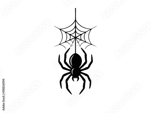 Black Spider Silhouette Hanging from Cobweb Isolated on White Background