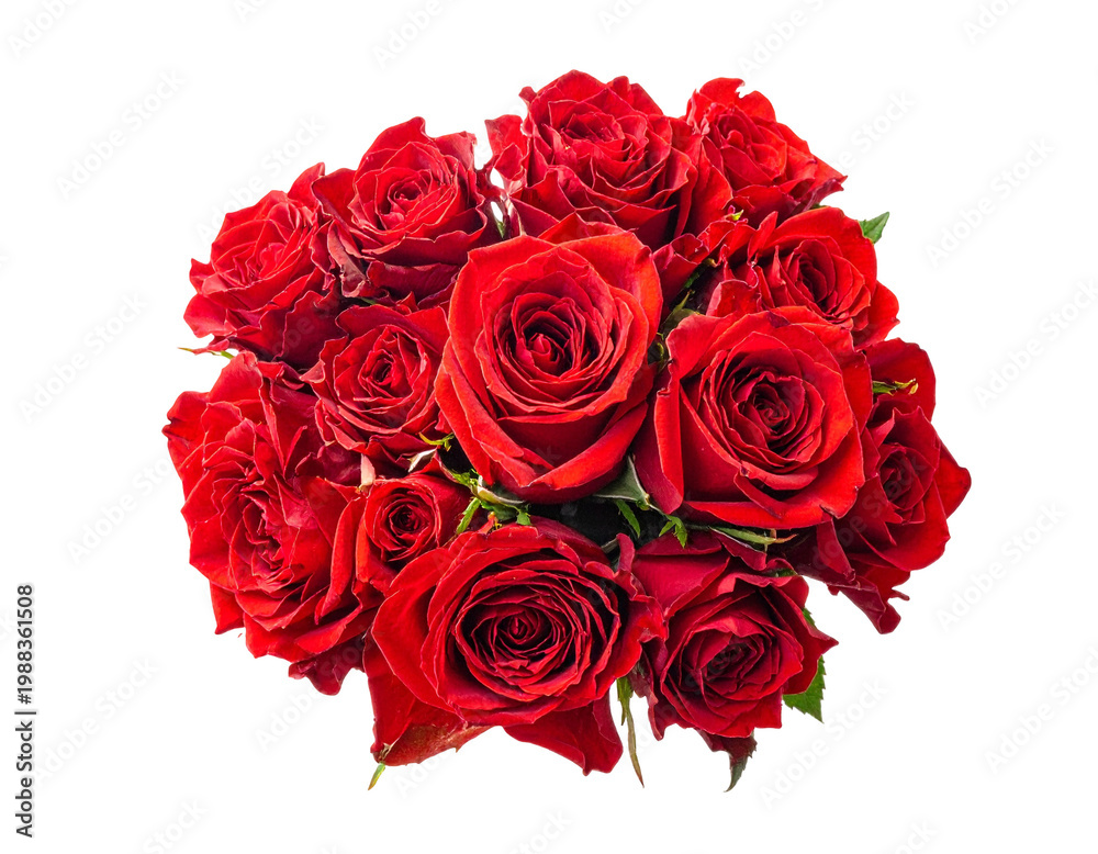 Fototapeta premium Vibrant red rose bouquet in rich velvet petals, fresh cut floral arrangement