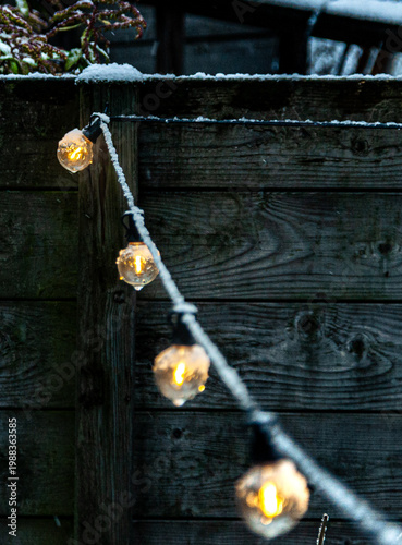 Foto Hang garden bulb