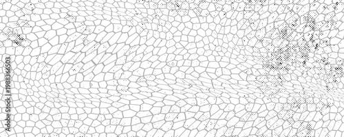 Pola kulit ular hitam terisolasi pada latar belakang putih ilustrasi modern eps 10	Print