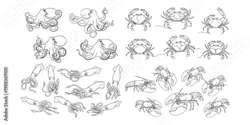 Various octopus crab squid and lobster shown in line art style on white background, concept of marine wildlife collection