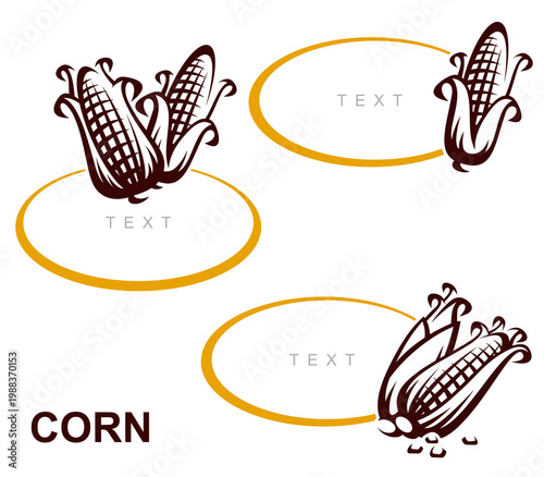 Corn label and element set. Collection icon corn. Vector