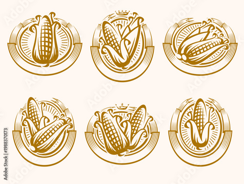 Corn label and element set. Collection icon corn. Vector