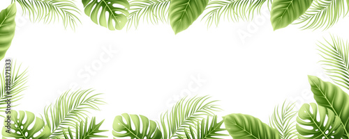 Frame of tropical leaves with place for text. Border with palm branches  leaves. Vector.