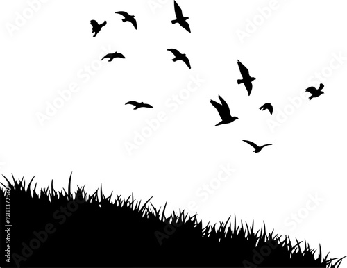 Flying birds flock silhouette set isolated on transparent background. Minimal bird group vector illustration