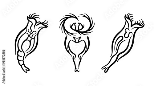 Artistic Rotifer Illustrations Depicting Microscopic Aquatic Organisms.