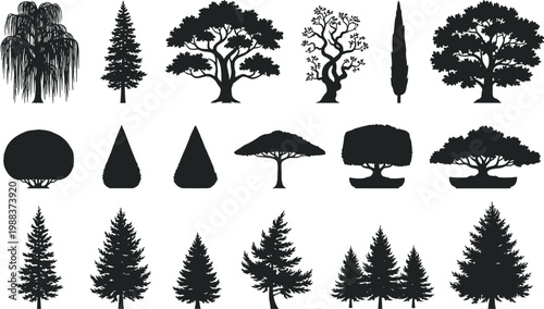 Collection of black silhouette tree icons including pine willow oak and various evergreen species isolated on white background for nature landscape and environmental design projects.