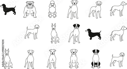 Vector line art illustration set featuring various dog breeds in standing and sitting poses including dachshund bulldog poodle and hound isolated on white background