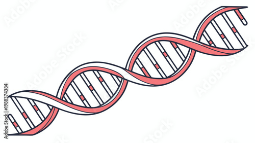 Dna helix structure scientific illustration with chromosome genetics molecule