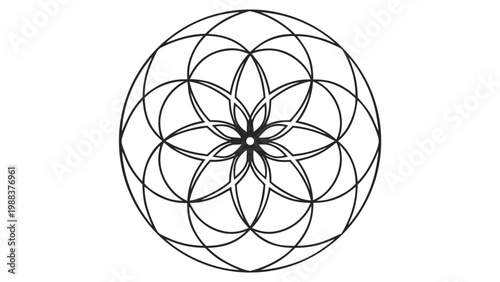 Sacred geometry seed of life circle pattern with geometry symmetrical isolated