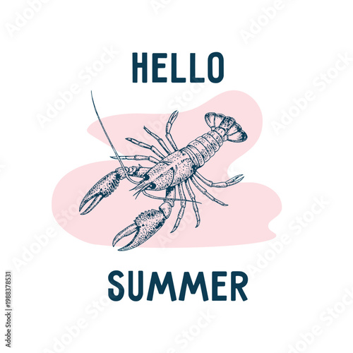 Lobster illustration with hand-drawn style, featuring the text "Hello Summer" in bold letters against a soft pink background