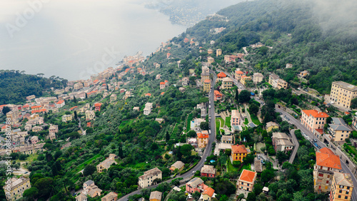 Quadro em tela Camogli in liguria showing colorful houses, verdant vegetation, and winding road