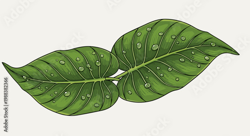 Lush green leaves adorned with sparkling water droplets, against a light backdrop