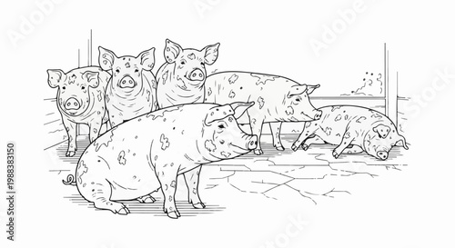 Five spotted pigs in a line, some standing, one resting