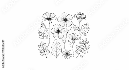 Delicate line art sketch of various wildflowers and leaves