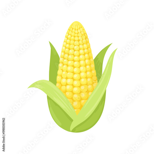 Vibrant Yellow Corn Cob with Green Leaves Isolated