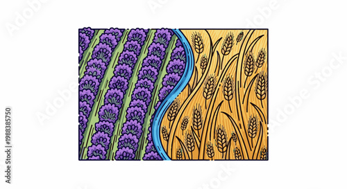 A picturesque farm scene with a river dividing purple lavender and golden wheat fields