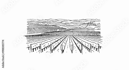 A sketch depicts a rolling landscape of vineyards stretching to distant hills and a small village