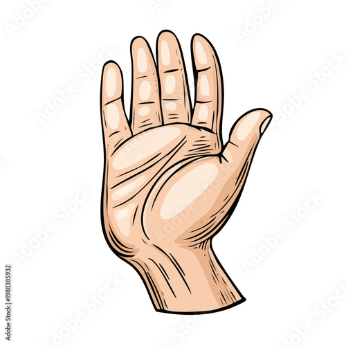 Open hand palm gesture illustration with fingers spread in greeting or warning sign